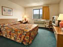 Business Room with 1 Queen Size Bed